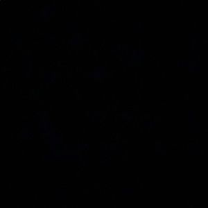 Meet your Posher, Jocelyn